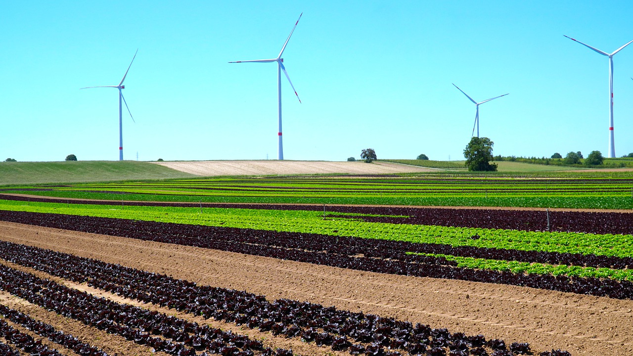 Generador de Energía Eléctrica